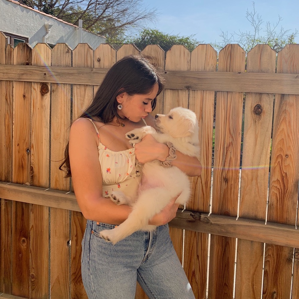 Meet your Posher, Ella